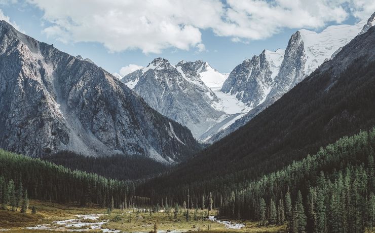 希腊移民需要多少钱